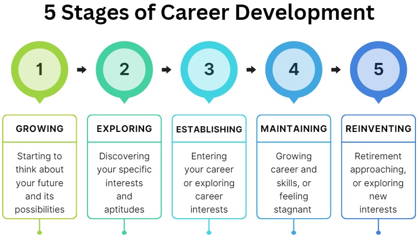 Career capital audit entrepreneurship