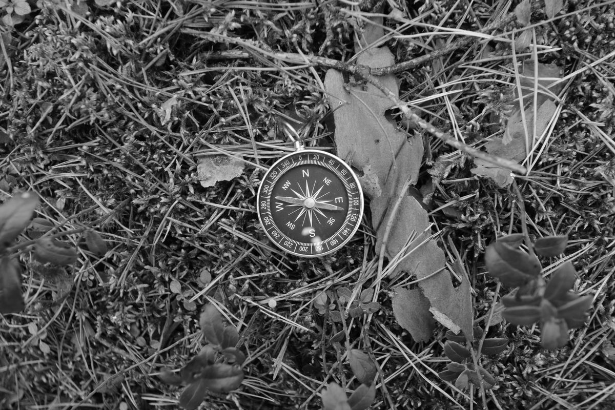 Compass lying on the forest floor