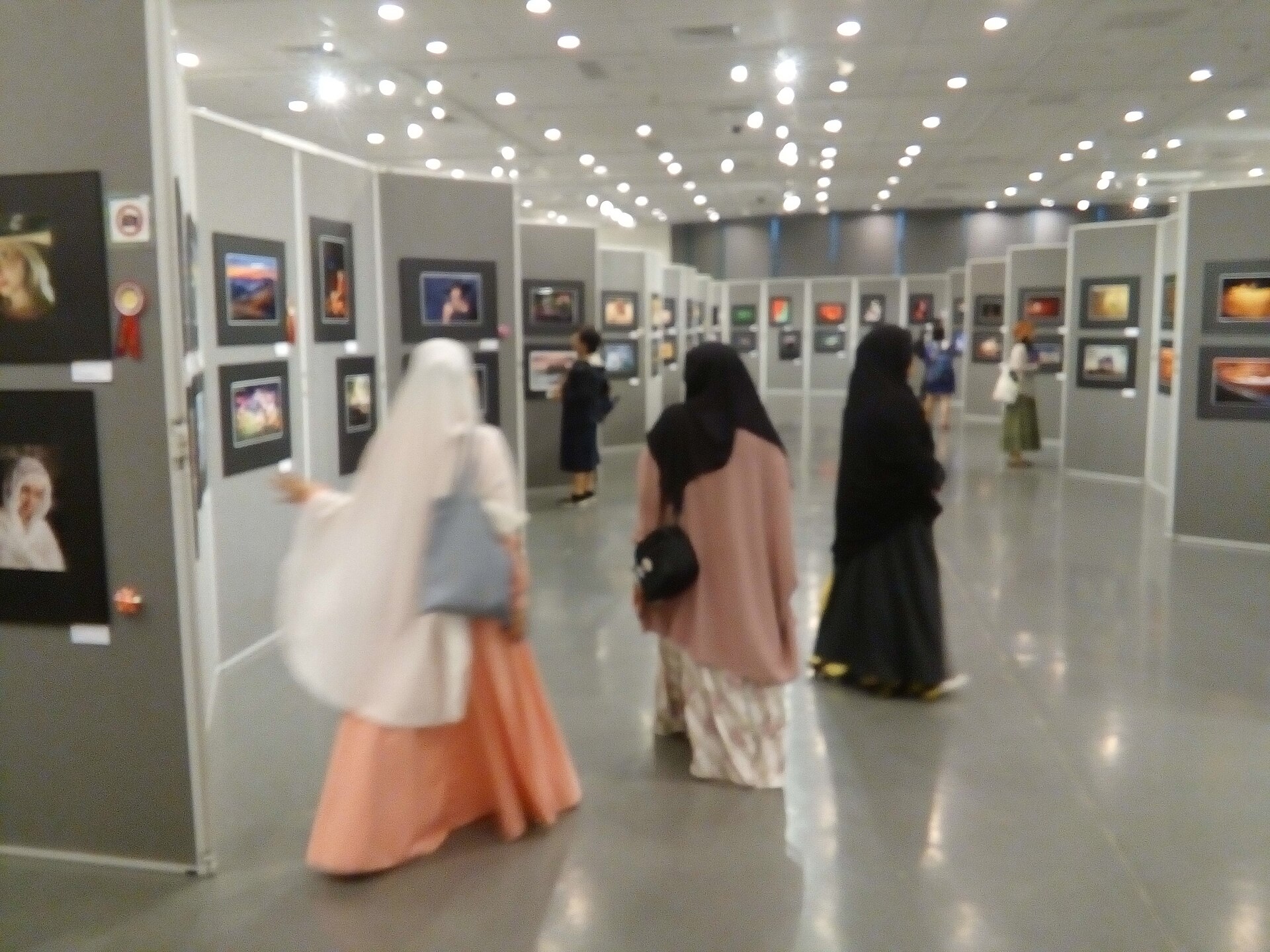 HKCL CWB 香港中央圖書館 Hong Kong Central Library 展覽廳 Exhibition Gallery 國際沙龍攝影展覽 visitors October 2016 Lnv