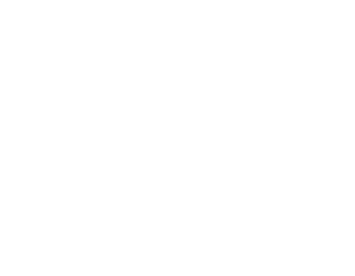 British Global Talent Council (BGTC)